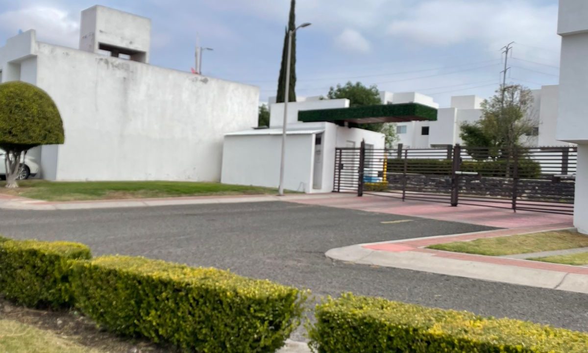 PHOTO-2026-02-06-11-49-19