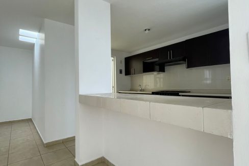 PHOTO-2026-02-06-11-49-27 4