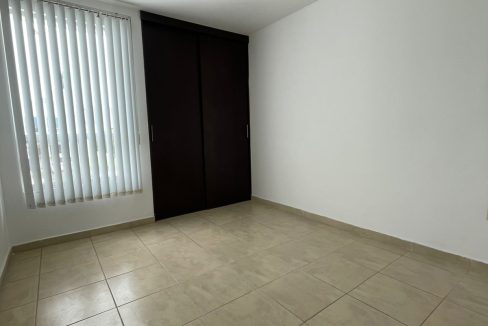 PHOTO-2026-02-06-11-49-28 3