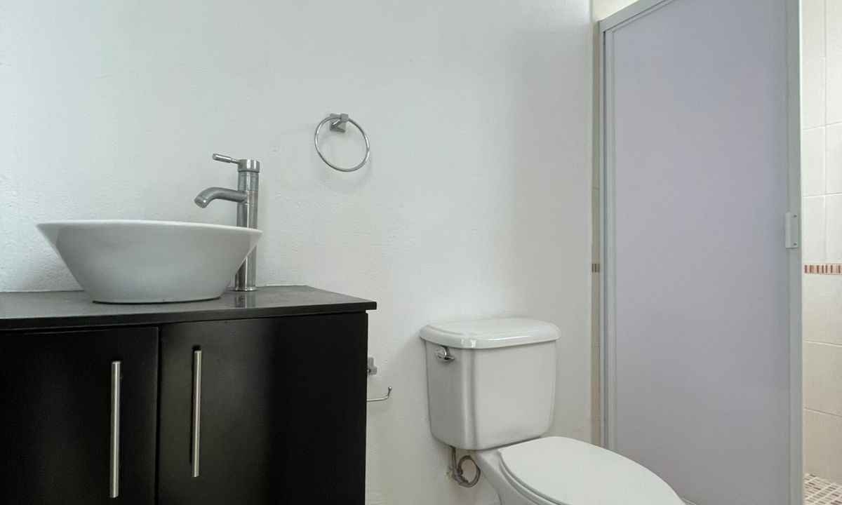 PHOTO-2026-02-06-11-49-29 3