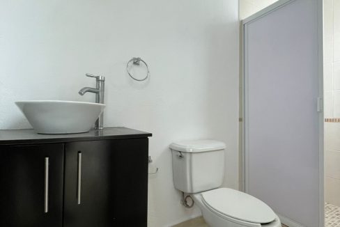 PHOTO-2026-02-06-11-49-29 3