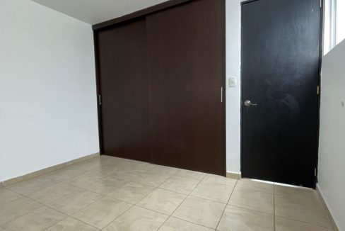 PHOTO-2026-02-06-11-49-29 5