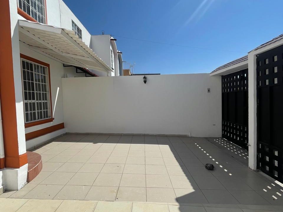 PHOTO-2026-02-14-21-35-38 10