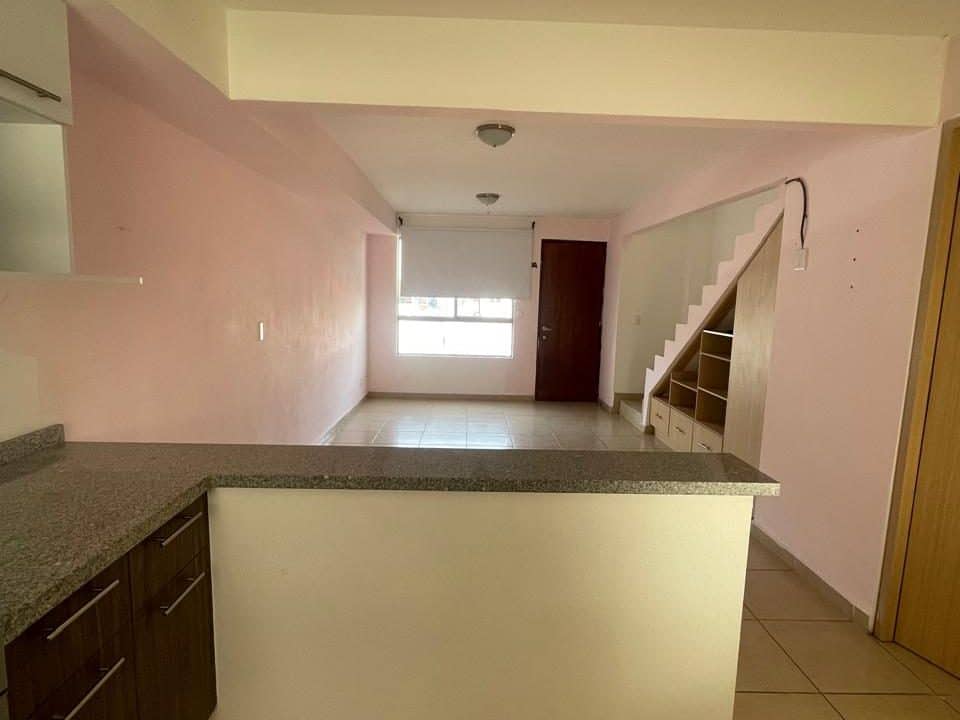 PHOTO-2026-03-05-11-12-05 12