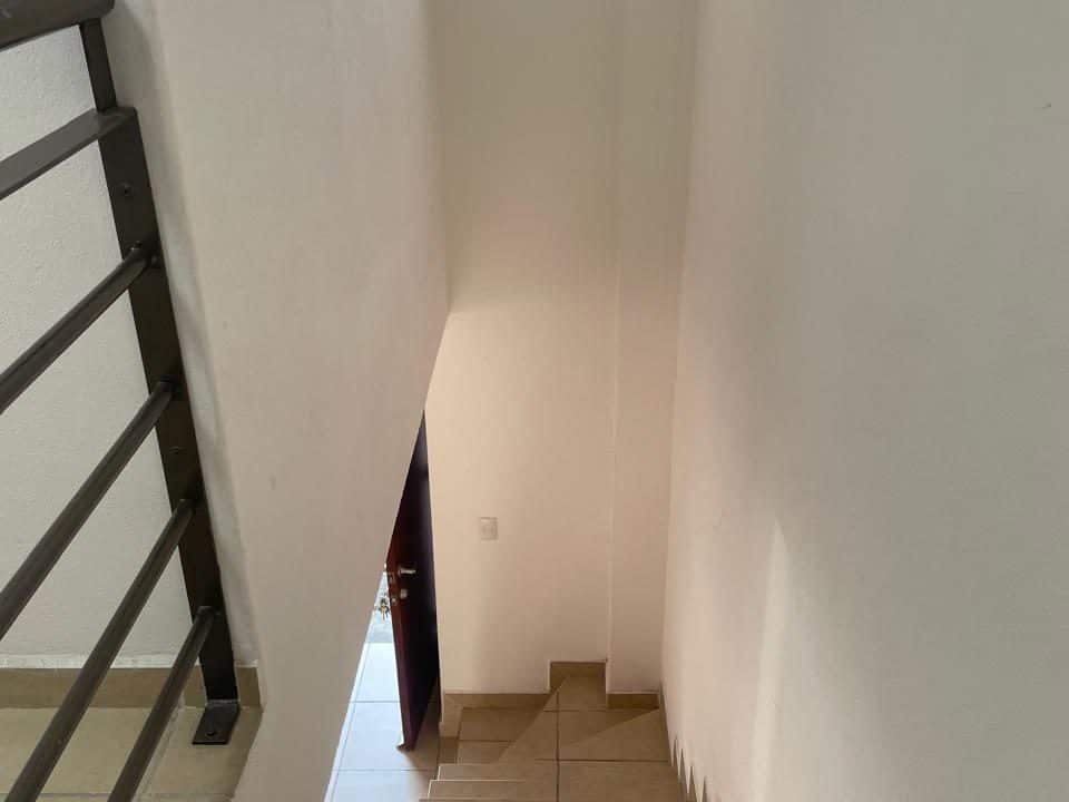 PHOTO-2026-03-05-11-12-05 6