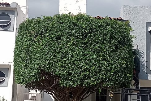 WhatsApp Image 2024-08-29 at 5.47.11 PM (1)