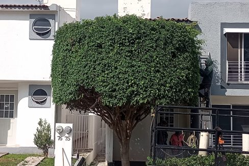 WhatsApp Image 2024-08-29 at 5.47.11 PM