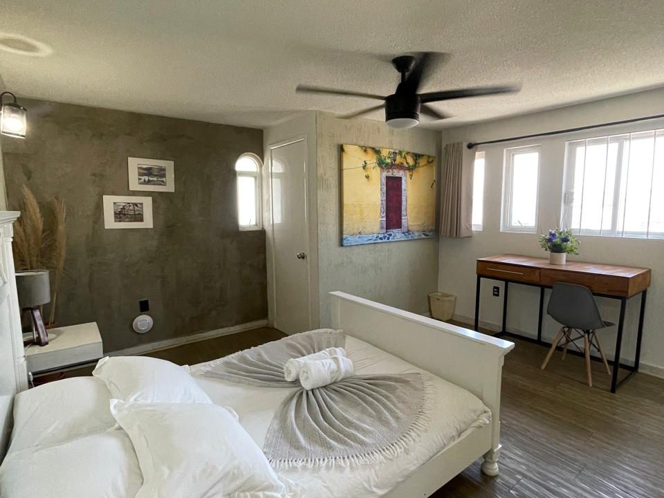 PHOTO-2026-04-17-21-10-55 13