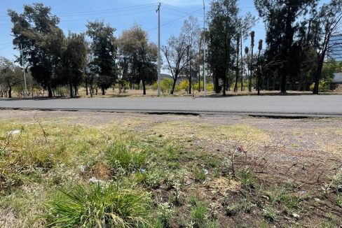 PHOTO-2026-04-19-21-07-28 10