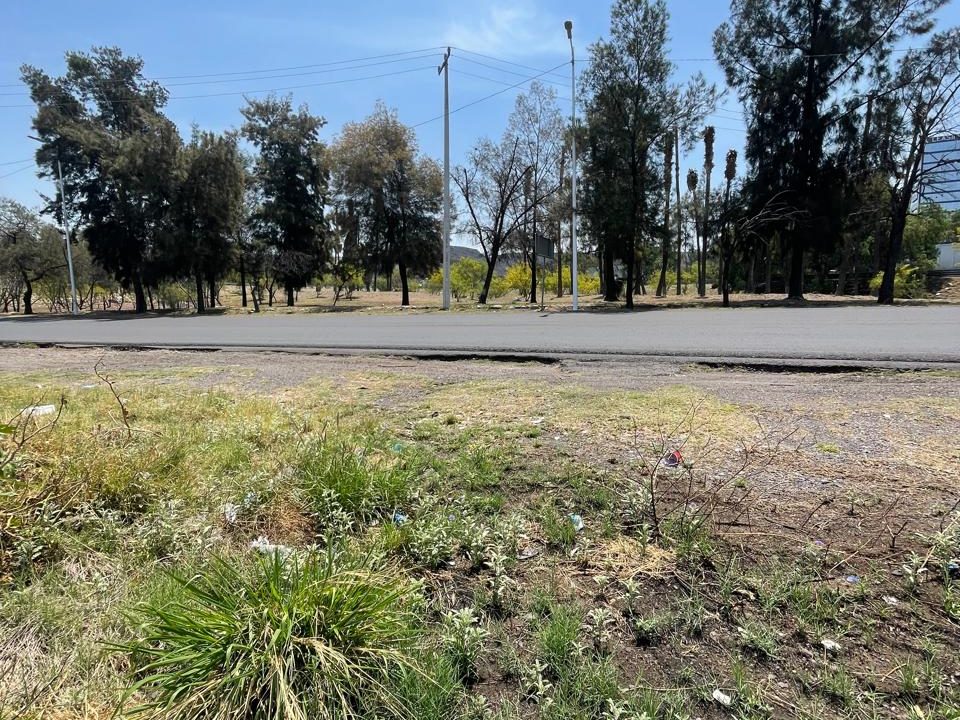 PHOTO-2026-04-19-21-07-28 10