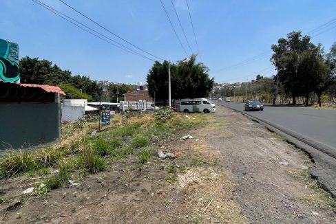 PHOTO-2026-04-19-21-07-28 12