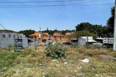 PHOTO-2026-04-19-21-07-28 14