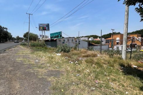 PHOTO-2026-04-19-21-07-28 15