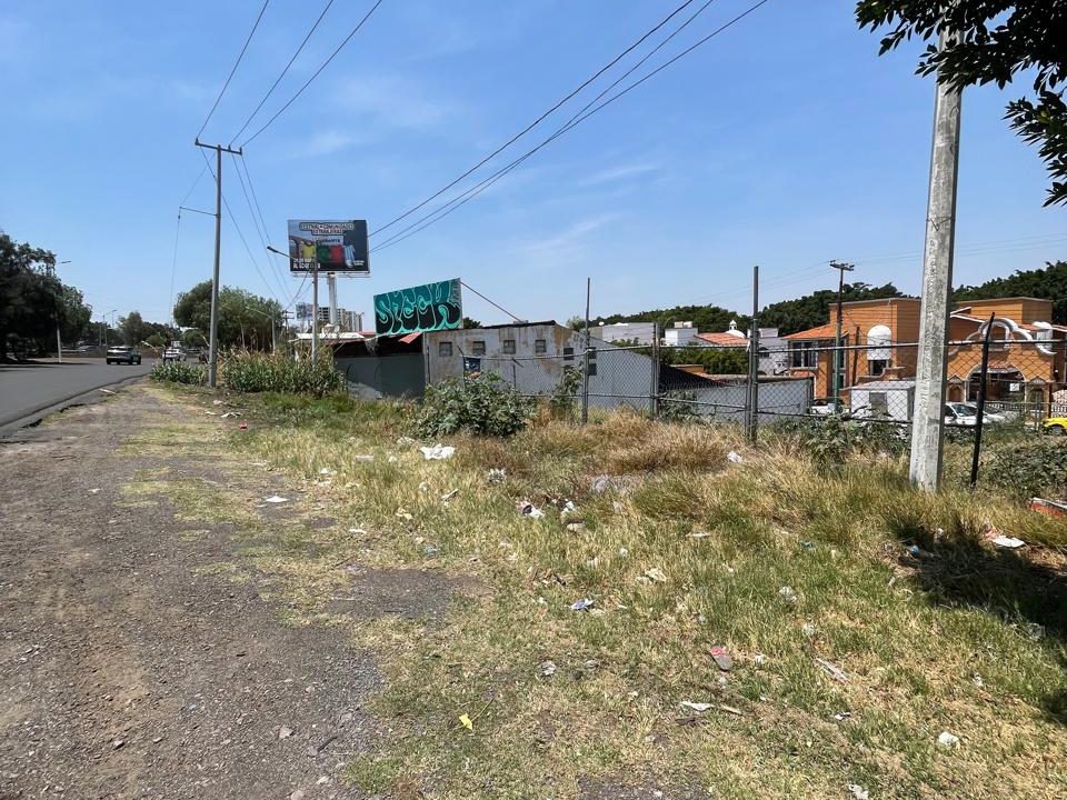 PHOTO-2026-04-19-21-07-28 15