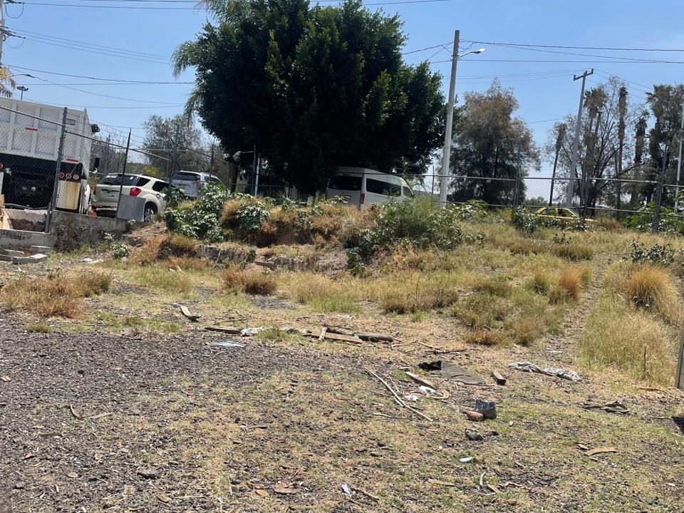 PHOTO-2026-04-19-21-07-28 2