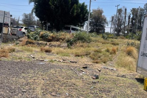 PHOTO-2026-04-19-21-07-28 3