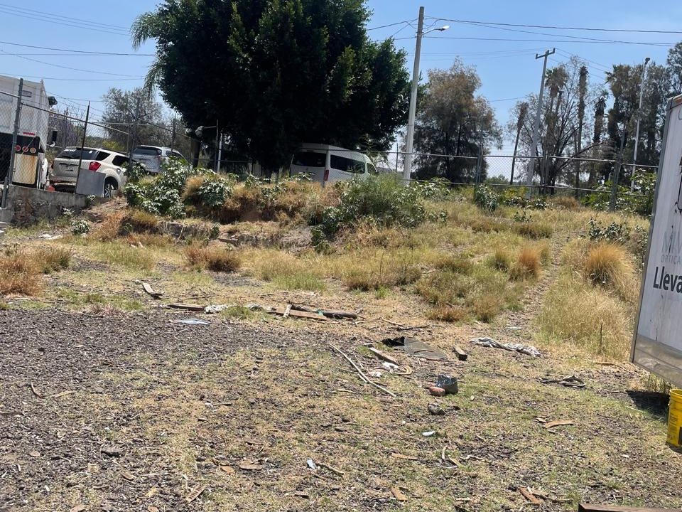 PHOTO-2026-04-19-21-07-28 3