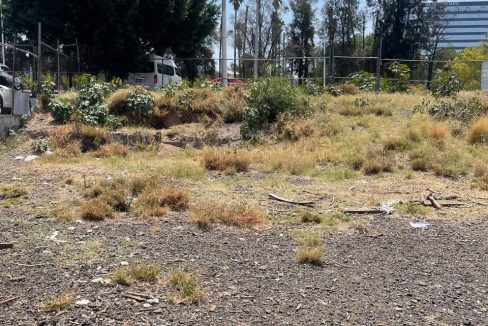 PHOTO-2026-04-19-21-07-28