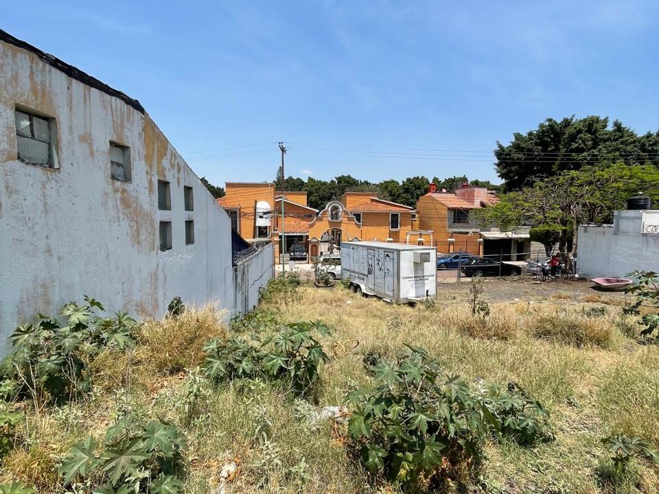 PHOTO-2026-04-19-21-07-28 7