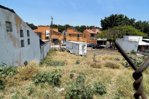 PHOTO-2026-04-19-21-07-28 8