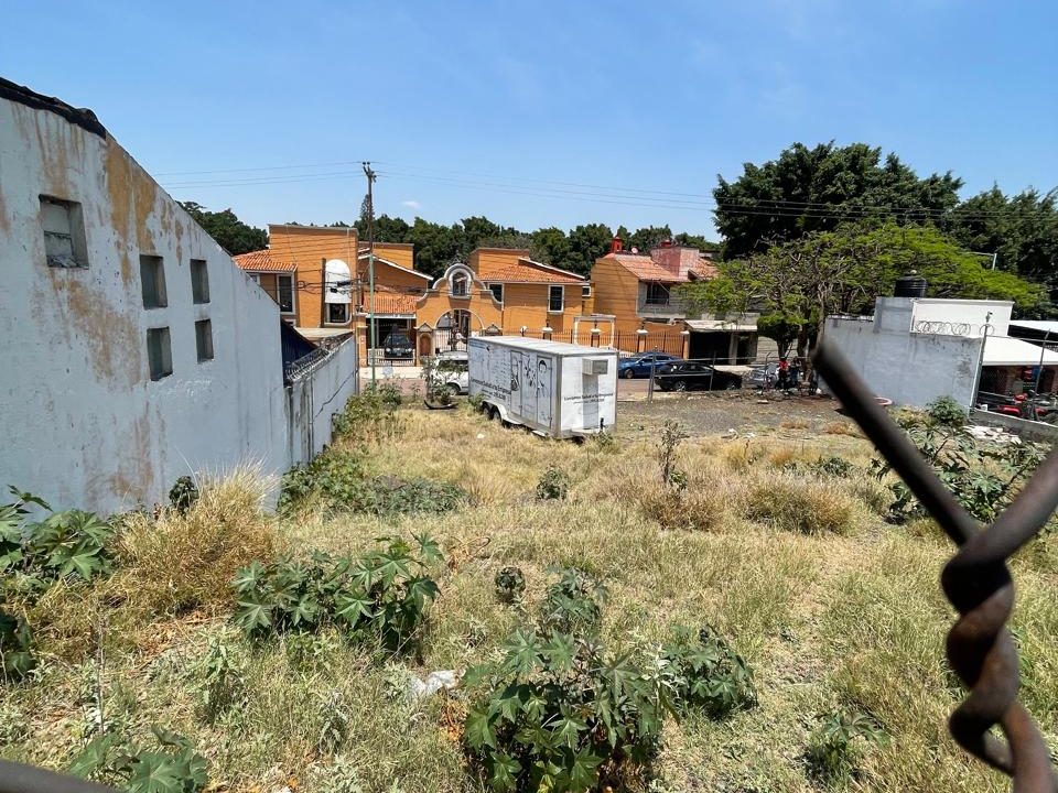 PHOTO-2026-04-19-21-07-28 8