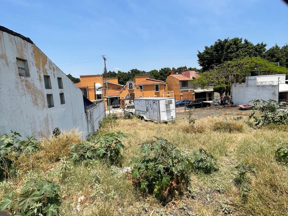 PHOTO-2026-04-19-21-07-28 9