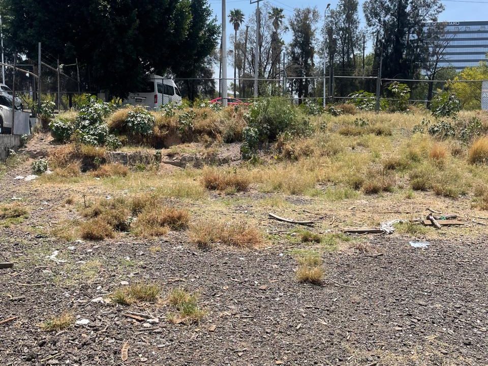 PHOTO-2026-04-19-21-07-28